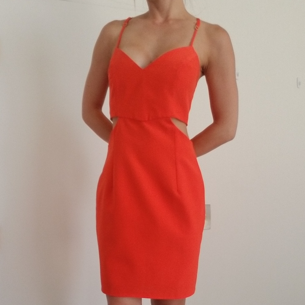 Naven cut out dress